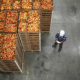 What To Know About Food Grade Warehousing & Export Regulations For Spring Shipping