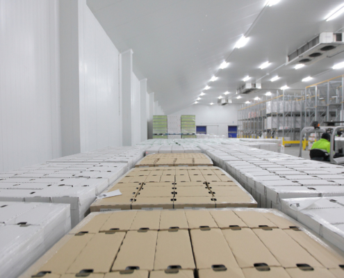 Why Blast Freezing Services Matter When Shipping Demand Shifts Faster Than Forecasts