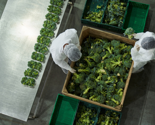 Food Export Storage Compliance Starts Inside The Warehouse