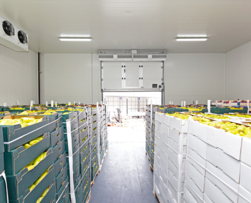 How Integrated Warehousing And Transportation Improve Food Distribution