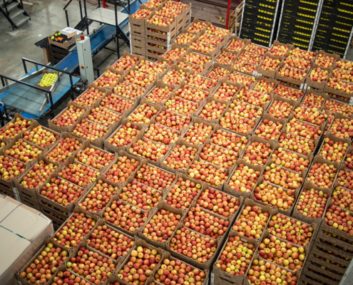 Food Grade Warehousing In Georgia What Southeast Food Manufacturers And Distributors Need To Know