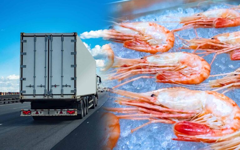 Cold Chain Logistics: What You Need To Know