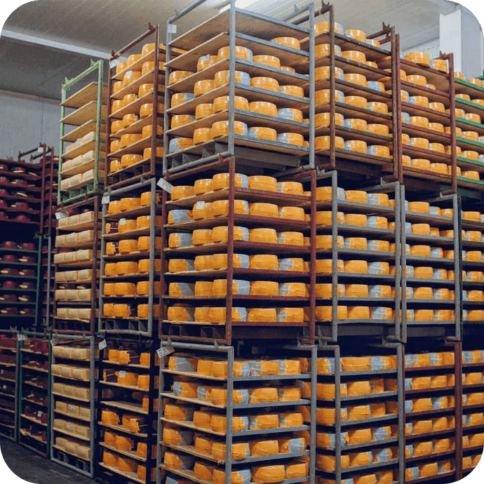 industrial stacks of wheels of cheese in a warehouse